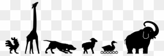 Alphabet Word Images Animals Cock Png Image - Animal Clipart