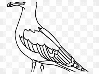 Drawn Seagull Free Clip Art - Utah State Bird - Png Download