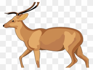 Gazelle Clipart Male Deer - Debden Park High School - Png Download