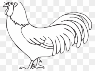 Rooster Clipart Rooster Outline - Rooster Drawing Outline - Png Download
