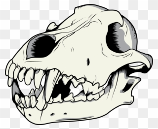 Thumb Image - Dog Skull Vector Png Clipart