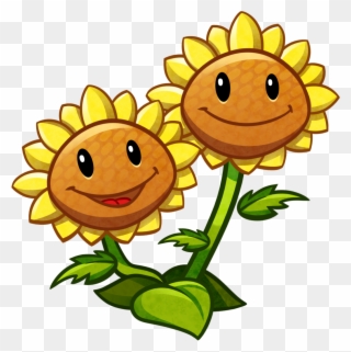 Twin Sunflower - Flores De Plantas Vs Zombies Clipart