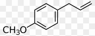 Skeletal Formula Of Estragole , Found In Basil, Tarragon - P Hydroxyphenylacetate Clipart