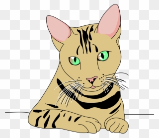 Clipart Cat Pose Top Png Top Cat Clipart - Kucing Lucu Png Transparent Png
