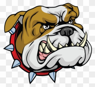 Bulldog Cartoonbulldog Mascotcartoon - Head Bulldog Clipart