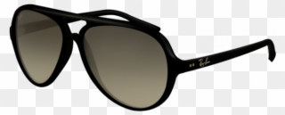 Sunglasses 7eabc 5029f - Ray Ban 5000 Cats Clipart