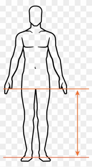 Body Measurements Standing Clipart 2138748 Pinclipart