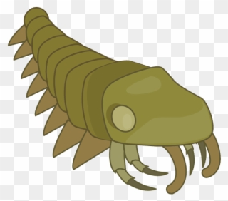Crsy3ngucaafs72 - Angler Clipart