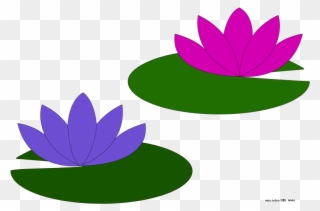 Go Back Gallery For Lily Pad Flower Clipart - Water Lily Clipart - Png Download