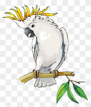 Cockatoo Clipart - Cockatiel Whisperer Mug - Png Download