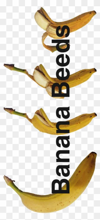 The Company's Logo Would Be This And All That Is The - Banana Clipart