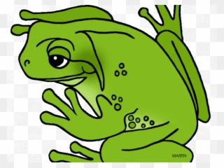 Green Frog Clipart Real Frog - Green Frog Clipart - Png Download