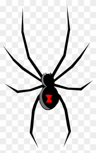 Sort Enke, Edderkop, Insekt, Giftig - Black Widow Spider Cartoon Clipart