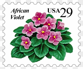 Offered By The African Violet Society Of America, Inc - African Violets Clipart