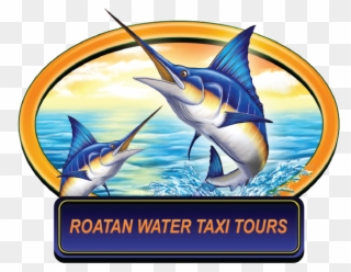 Roatan Water Taxi Tours, West End - Two Carolina Skiff Decals 10 X3 5 Each Clipart