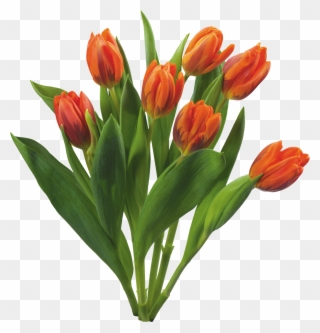 Bouquet Of Flowers Icon Clipart - Love Tulips Beautiful Spring Flowers Set - Png Download