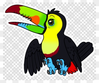 Chibi Clipart Artist Toucan - Hornbill - Png Download