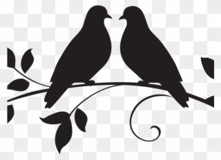 White Dove Clipart Marriage - Drawing Two Bird Love - Png Download