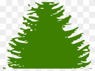 Fir Tree Clipart Forrest Tree - Tree Black And White Simple - Png Download