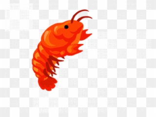 Free PNG Shrimp Clip Art Download - PinClipart