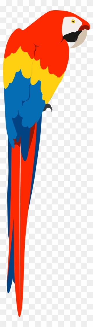 Informative About Their Physical Features, And Also Clipart