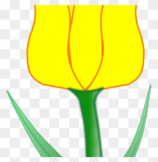 Tulips Clip Art Tulip Clip Art At Clker Vector Clip - Clip Art - Png Download