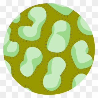 Avian Flu - Illustration Clipart