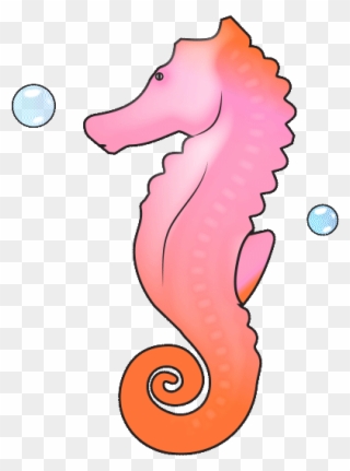 Animation Clipart Seahorse - Sea Horse Cartoon Gif - Png Download