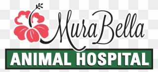 Dr Authur Browning - Murabella Animal Hospital Clipart
