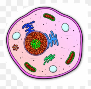 Location - Kesler Science Plant Cell Clipart - Full Size Clipart