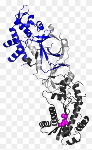 Syndrome Clipart