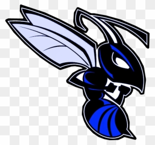 Thank You For The Phelps Hornet Shout Out - Blake High School In Tampa Mascot Clipart