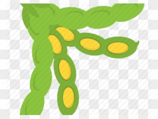 Lima Beans Clipart Green Food - Vegetable - Png Download