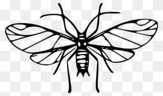Mosquito Art Clip - Png Download