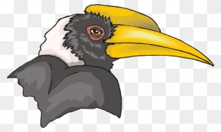 Picture Transparent Head Bird Hornbill Png Image Picpng - Hornbill Clipart