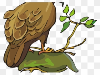 Prairie Falcon Clipart Mouth - Bird - Png Download