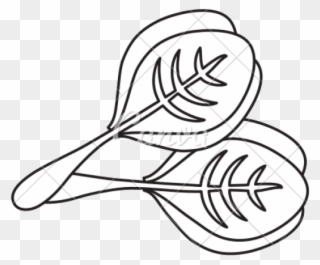 Drawn Vegetable Spinach - Spinach Clipart