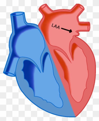 Collection Of Free Appenage - Laa Of The Heart Clipart