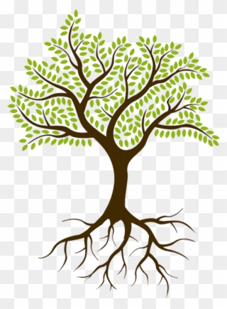 Culture Spark Was Started In 2015 By Sheryl Lyons, - Tree With Roots Png Clipart
