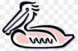Vector Illustration Of Large Water Bird Pelican Clipart