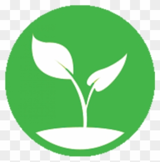 Budgeting Basics Budgeting Basics - Plant Sprout Vector Clipart