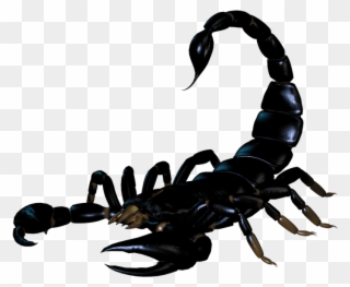 Scorpio Clipart Desert Creature - Imagenes Con Formato Bmp - Png Download