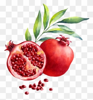 彩云皓月采集到素材-png - Secret Key Nature Recipe Mask Pack 1pc Pomegranate Clipart