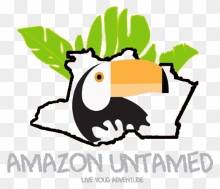 Amazona Untamed Amazona Untamed - The Araca Group Clipart