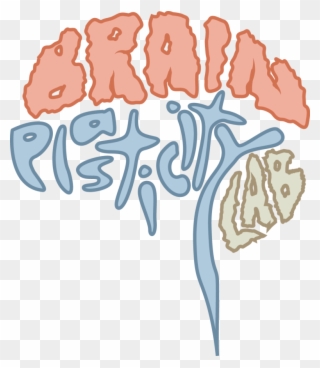 Bpl Logo Nooutline Clear , 18 May 2017 - Brain Plasticity Logo Clipart