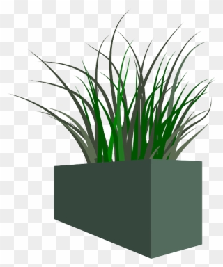 Pot, Grass, Plant, Weeds Unkraut, Gras, Clipart, Pflanze - Grass In A Pot Png Transparent Png