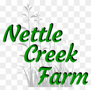 Nettle Creek Farm - Nettles Clipart