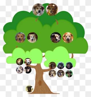 All Of The Dogs Consistently Receive The Necessary - Cartoon Clipart