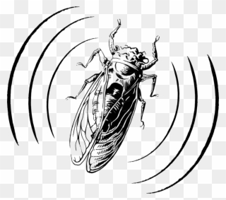 Cicada Audio Logo Design, Clipart