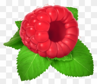 Download Raspberry Clipart Png Photo - Fruit Transparent Png